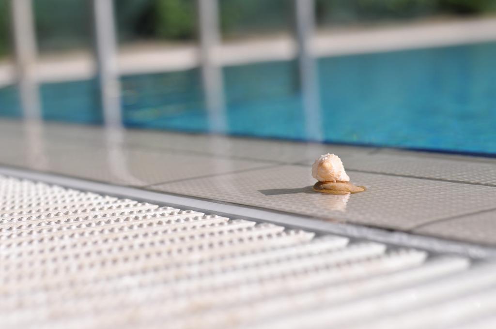 Apartment Aqua Wellness Hajduszoboszlo